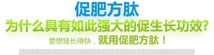 多肽保健養(yǎng)豬