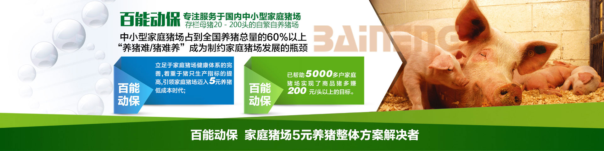 百能動保  家庭豬場5元養(yǎng)豬整體方案解決者